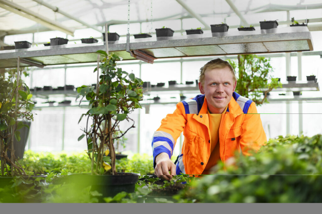 Ein Bauhof-Mitarbeiter in orangener Arbeitskleidung steht zwischen grünen Pflanzen in Gewächshaus
