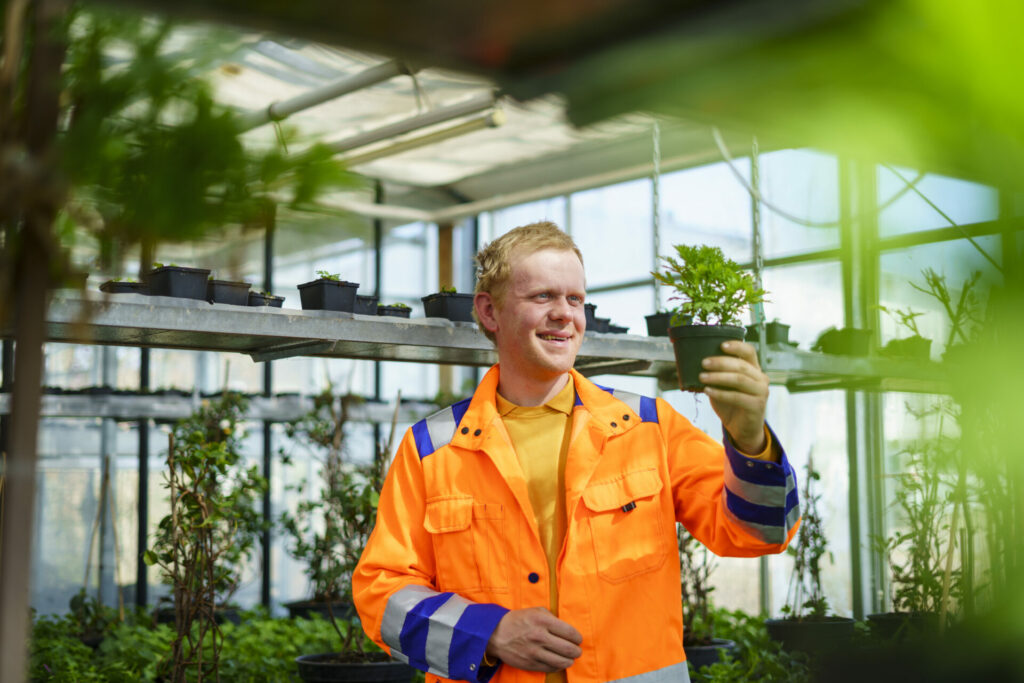 Ein Bauhof-Mitarbeiter in orangener Arbeitskleidung steht in einem Gewächshaus und hält eine Topfpflanze